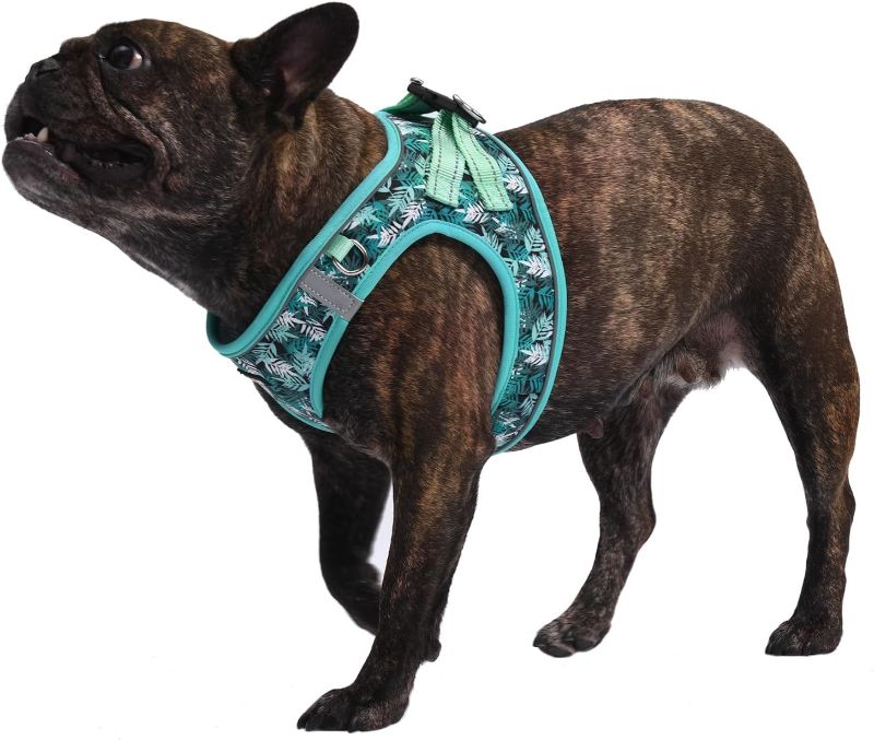 Photo 2 of AMTOR Dog Harness with Leash Set,No Pull Adjustable Reflective Puppy Harness with Padded Vest for Extra-Small/Small Medium Large Dogs and Cats(Green Bamboo,XL)
