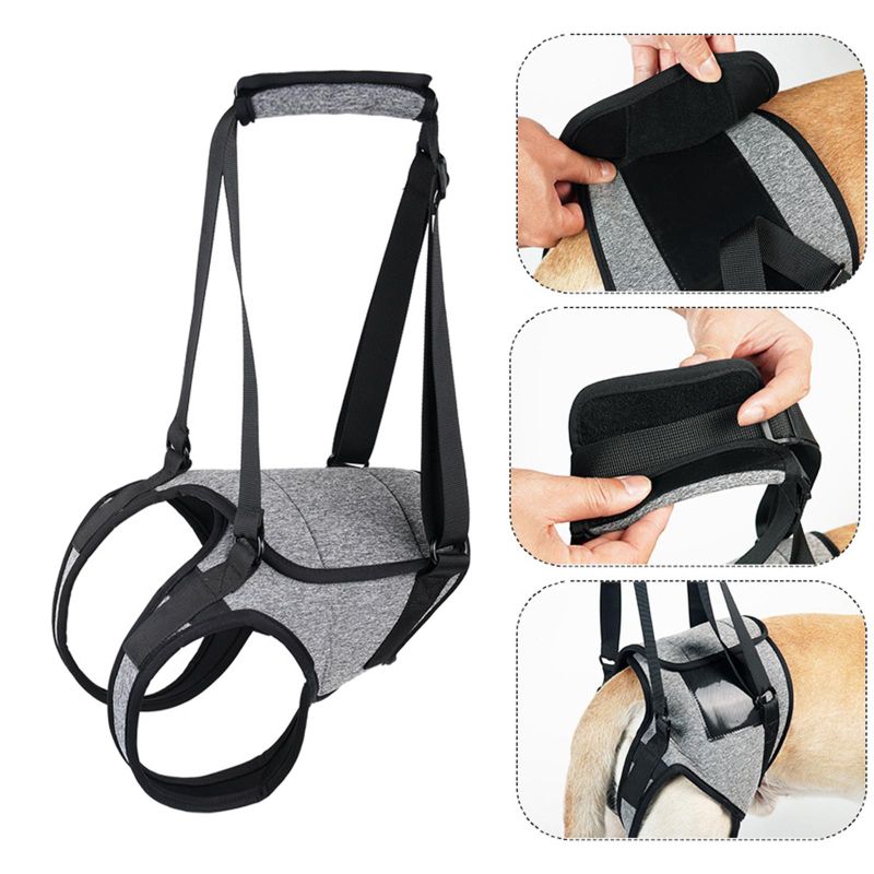 Photo 1 of Dog Lifting Support Harness, Auxiliary Belt Pet Straps for Rear Leg Adjustable Strap Breathable Senior Pet Supplies Lifting Brace Pad M
