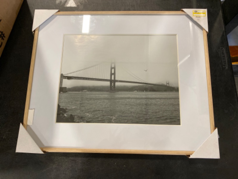 Photo 1 of 16x20 Picture Frame 