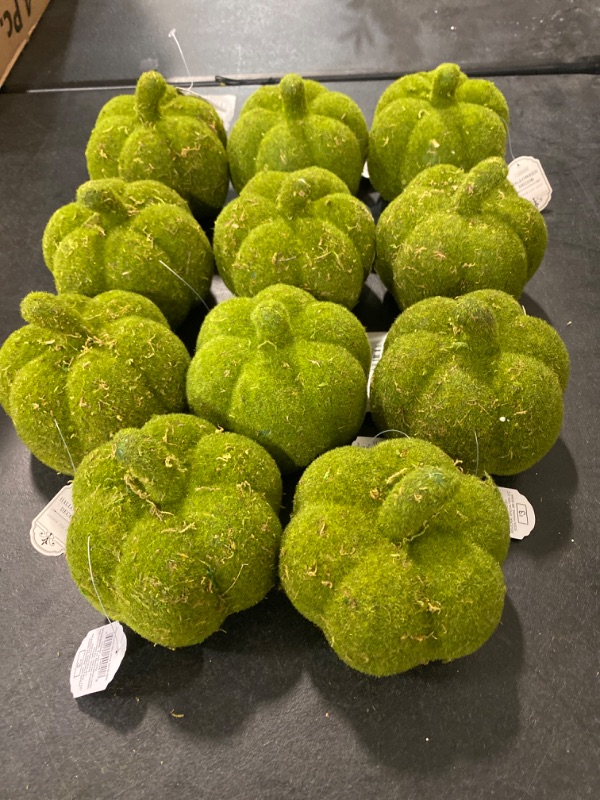Photo 1 of 11 Moss Covered Pumpkins 