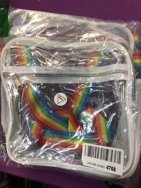 Photo 1 of clear rainbow backpack