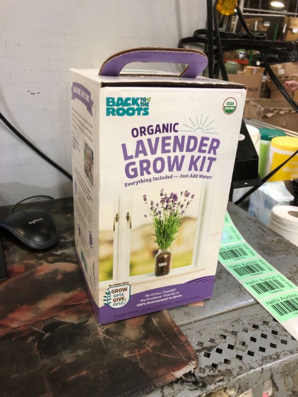 Photo 2 of Back to the Roots Lavender Organic Windowsill Planter Kit - Grows Year Round, Includes Everything Needed for Planting