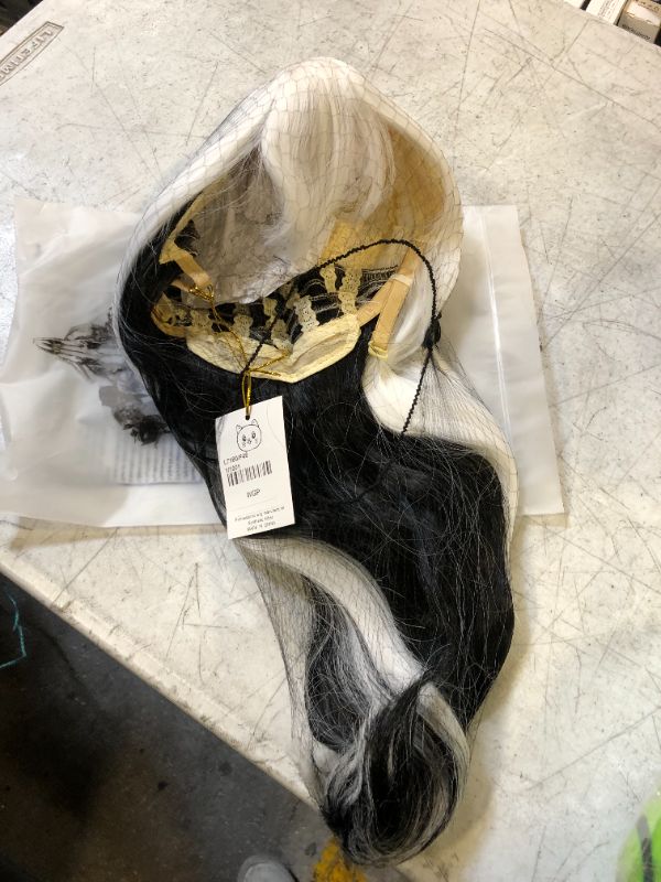 Photo 1 of WGPFWIG Women's Black and White Wig 22''
