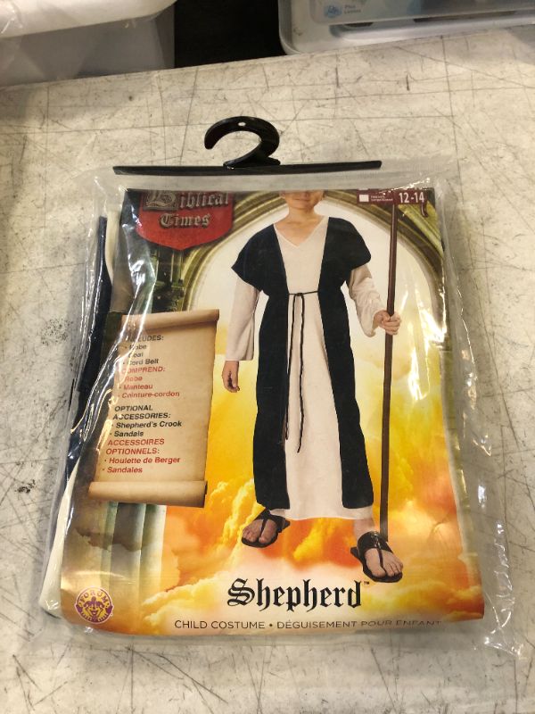 Photo 2 of Forum Novelties Boy Shepherd Costume Child Small As Shown