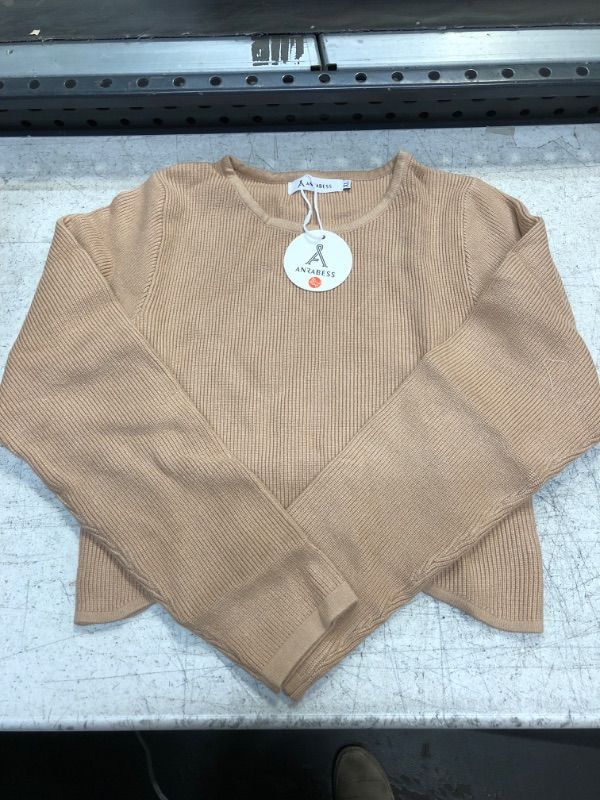 Photo 1 of Brown Sweater XL