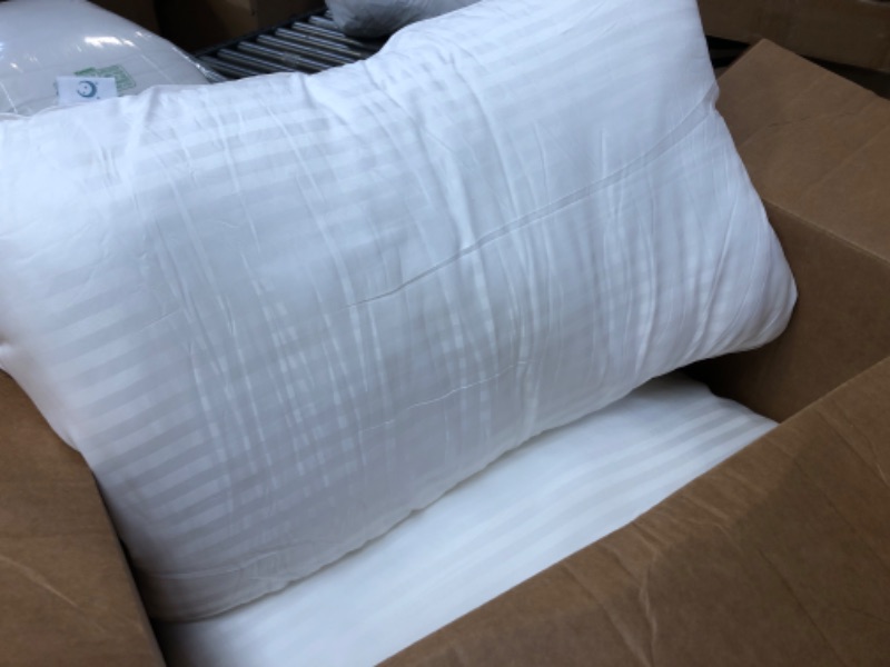 Photo 1 of 2 PACK OF PILLOWS 