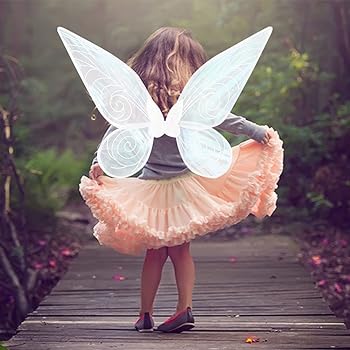 Photo 1 of ZITOOP Fairy wing,Butterfly Fairy Halloween Costume Angel Wings,Halloween Costume Sparkle Angel Wings Dress Up Party Favor White Light