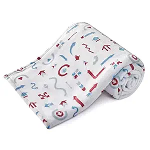 Photo 1 of DaysU Plush Flannel Baby Blanket Super-Soft Lightweight, Embroidered Fleece Baby Blanket for Boys and Girls, Bed Throws for Baby Crib and Toddler Bed, Arrow, 30”x40”
