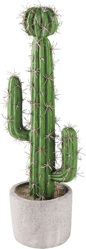 Photo 1 of  MyGift 16 Inch Artificial Fake Cactus Saguaro Plant in Cement Planter Pot, Southwest Decor Indoor Faux House Plant 