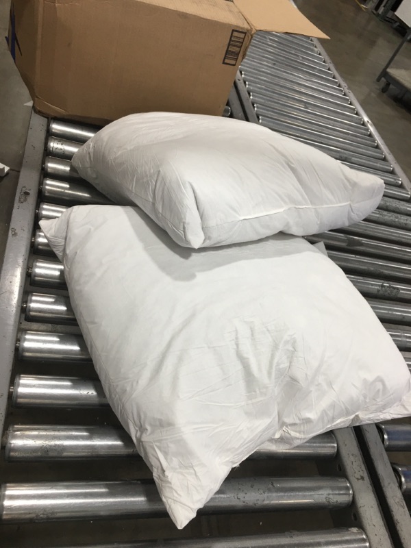 Photo 1 of 2 White Pillows