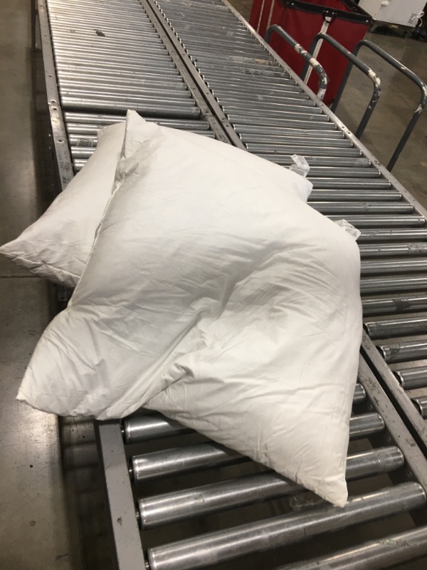 Photo 1 of 2 White Pillows 