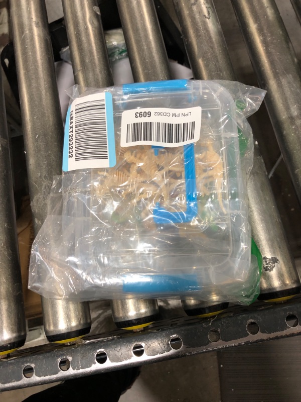 Photo 1 of UPINS 24 pcs Dinosaur Skeleton Toy 3.5 Inch Assorted Dinosaur Figures and Dinosaur Fossil Skeletons with Storage Box Educational for Science Play Dino Sand Dig Party Favor Decorations Style-B