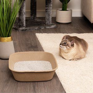 Photo 1 of Kitty Sift Disposable Litter Box Jumbo for Cats (Pack of 6)
