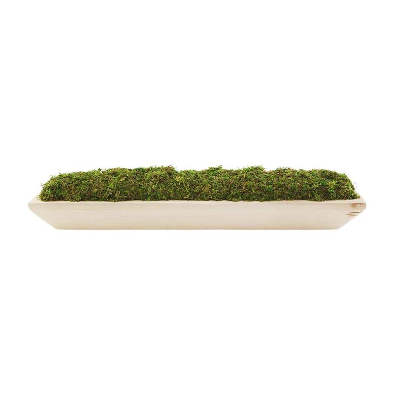 Photo 1 of Moss Tray With Handles