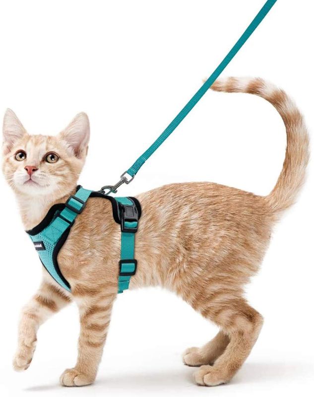 Photo 1 of  rabbitgoo Cat Harness and Leash for Walking, Escape Proof Soft Adjustable Vest Harnesses for Cats, Easy Control Breathable Reflective Strips Jacket, Emerald, S 