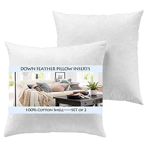 Photo 1 of Yesterday Home Set of 2-22x22 Decorative Throw Pillow Inserts-Down Feather Pillow Inserts-White