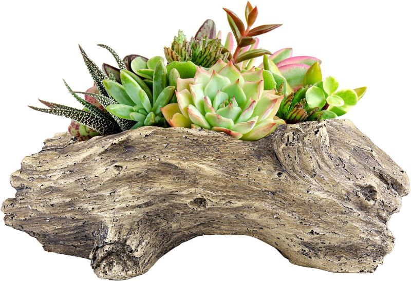 Photo 1 of  Aclema Flower pots for succulent driftwood plants - Pots for succulent plants - Cactus pots - Wooden pot with drain hole 
