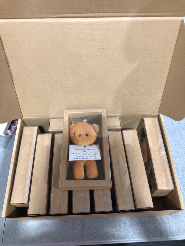 Photo 1 of 10pcs Emotional Support Bears 