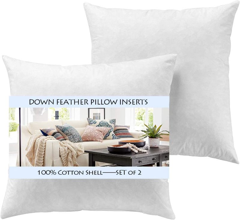 Photo 1 of Yesterday Home Set of 2-22x22 Decorative Throw Pillow Inserts-Down Feather Pillow Inserts-White 