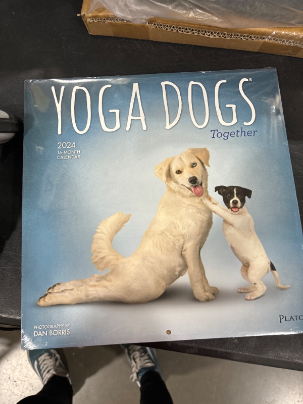 Photo 2 of Yoga Dogs Together Calendar 2024 - Deluxe 2024 Yoga Dogs Wall Calendar Bundle with Over 100 Calendar Stickers (Yoga Dogs Gifts, Office Supplies)