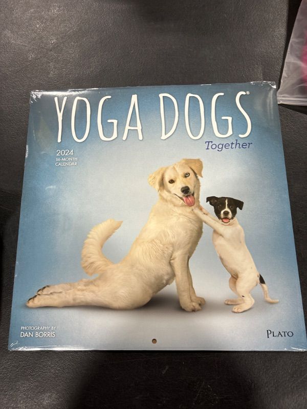 Photo 3 of Yoga Dogs Together Calendar 2024 - Deluxe 2024 Yoga Dogs Wall Calendar Bundle with Over 100 Calendar Stickers (Yoga Dogs Gifts, Office Supplies)