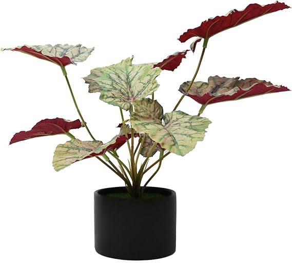 Photo 1 of 12 x18'' Begonia Leaf Artificial Plants in Ceramic Pot 1 Pack
