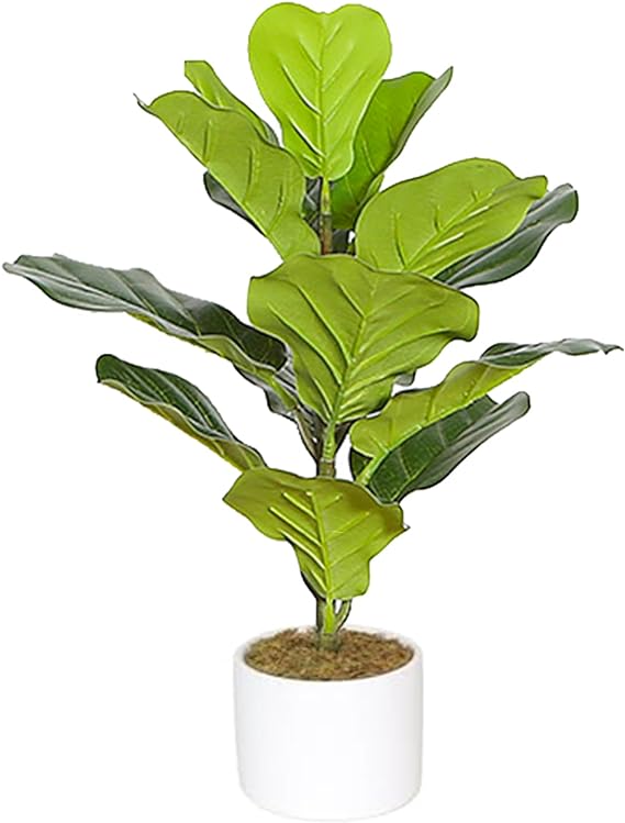 Photo 1 of 18'' Artificial Fiddle Leaf Plants in White Ceramic Pot
