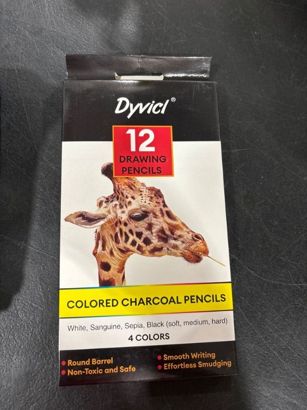 Photo 2 of Dyvicl Colored Charcoal Pencils Drawing Set, 12 Pieces Black White Charcoal Pencils for Drawing, Sketching, Shading, Blending, Pastel Chalk Pencils for Beginners and Artists