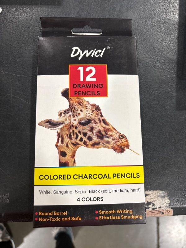 Photo 2 of Dyvicl Colored Charcoal Pencils Drawing Set, 12 Pieces Black White Charcoal Pencils for Drawing, Sketching, Shading, Blending, Pastel Chalk Pencils for Beginners and Artists