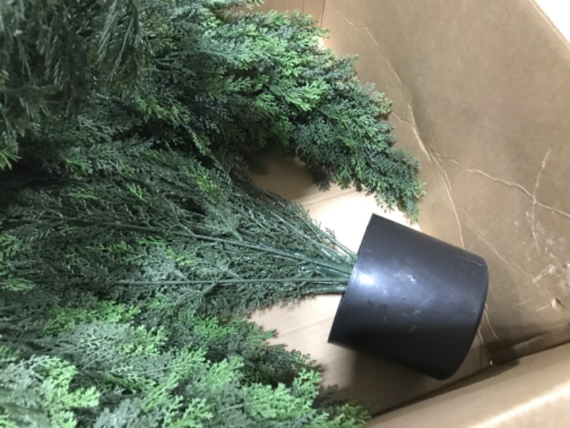 Photo 2 of 2 PACK ARTIFICIAL FERN PLANTS WITH BLACK PLANTERS