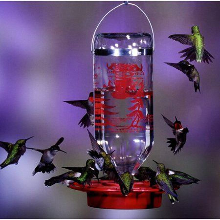 Photo 1 of 2 Pack  32 Oz Original Hummingbird Feeder
