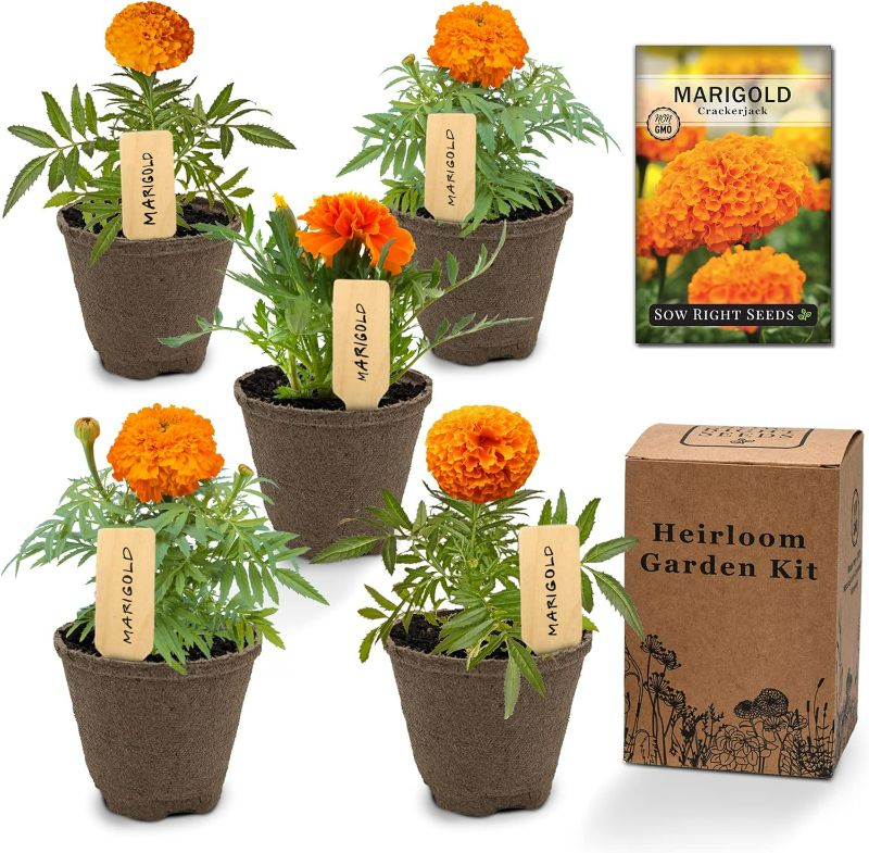 Photo 1 of Sow Right Seeds - Marigold Seeds Flower Growing Kit - Grow Your own Flowers Kit - Includes Pots & Potting Soil - Non-GMO Packet with Instructions - Beautiful to Plant in Your Garden - Gardening Gift
