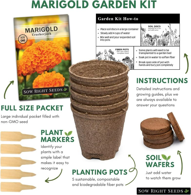 Photo 2 of Sow Right Seeds - Marigold Seeds Flower Growing Kit - Grow Your own Flowers Kit - Includes Pots & Potting Soil - Non-GMO Packet with Instructions - Beautiful to Plant in Your Garden - Gardening Gift
