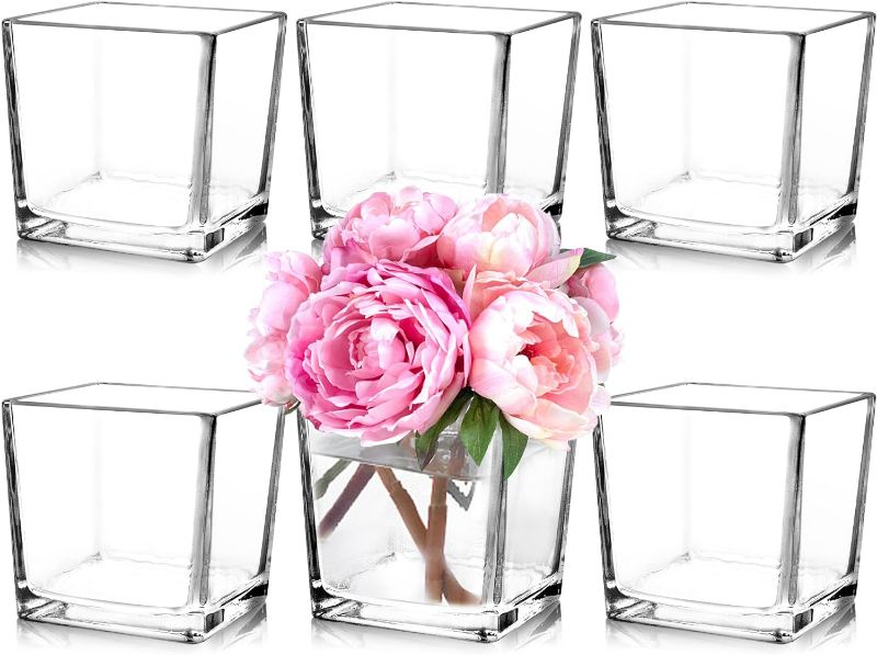 Photo 1 of Set of 6 Square Glass Vases 5" x5" x 5", Clear Flower Vases for Centerpieces, Candle Holder for Wedding Party Events, Home Décor
