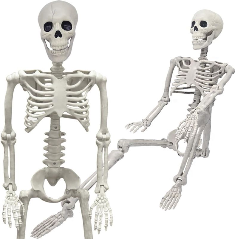 Photo 1 of 36" Skeleton Halloween Decorations, 3FT Realistic Full Body Movable Posable Joints Skeleton, Creepy Halloween Plastic Skeleton for Graveyard Decorations, Haunted House Props Indoor/Outdoor Deco