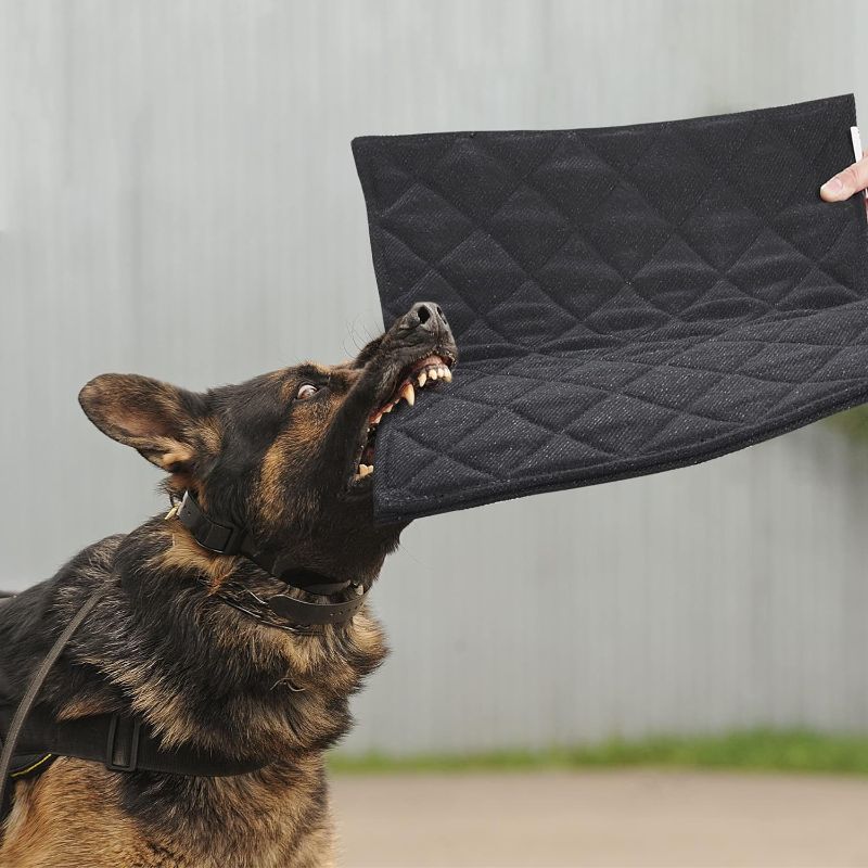 Photo 1 of Indestructible Dog Beds, Chew Proof Dog Crate Pad for Aggressive Chewers,Machine Washable Quilted Dog Mat for Crate,Durable Dog Beds for Large Dogs,Black Kennel Pad Color Beige
