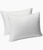 Photo 1 of 2 pack Ichrysan Pillows