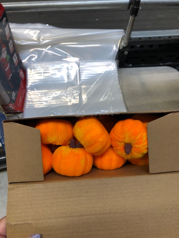 Photo 1 of 20 PC MINI PUMPKINS 