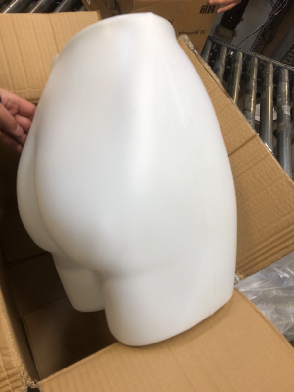 Photo 1 of Econoco Female Hip Form, Milky White