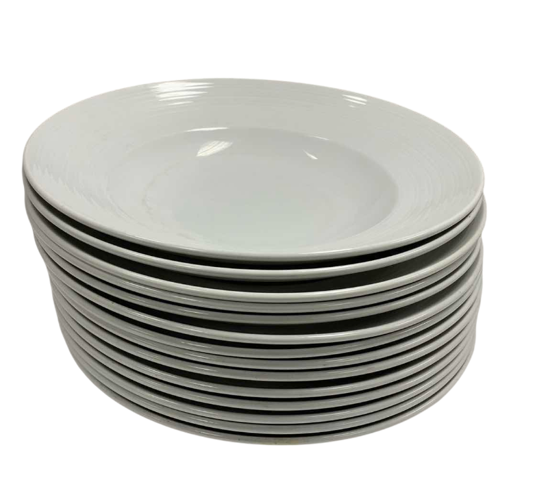 Photo 1 of 14-EURO VERTEX PASTA BOWLS 12” DIAMETER