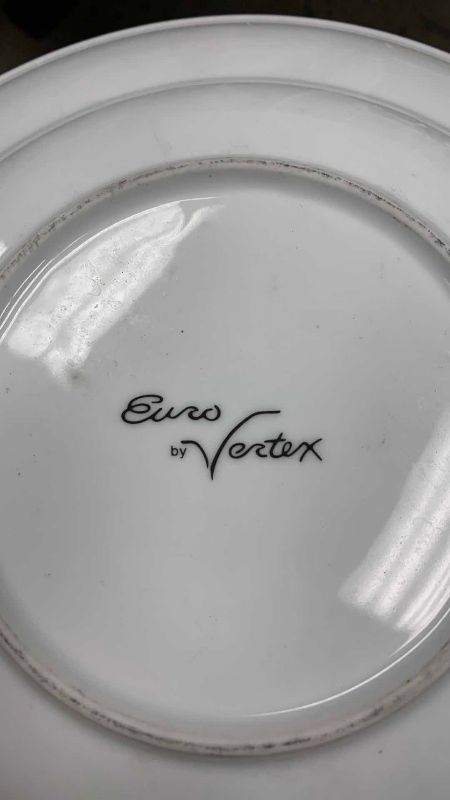 Photo 1 of 14-EURO VERTEX PASTA BOWLS 12” DIAMETER
