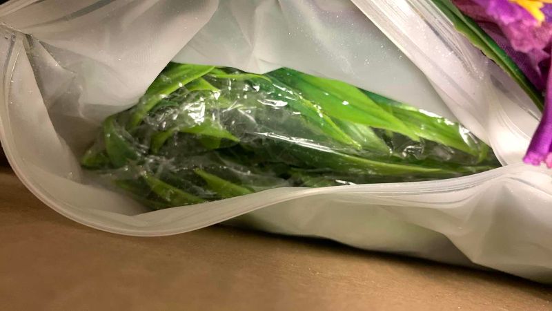 Photo 1 of FLORAL ARRANGEMENTS MATERIALS