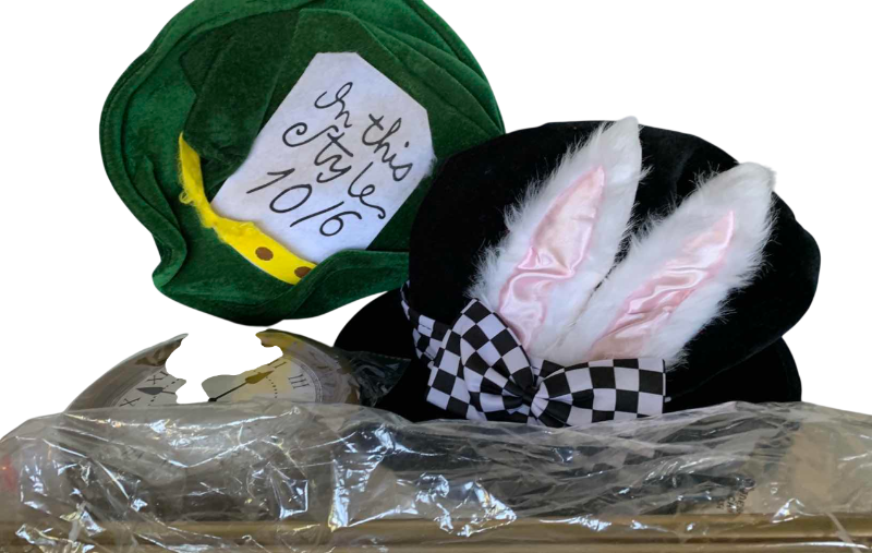 Photo 1 of ALICE IN WONDERLAND COSTUMES