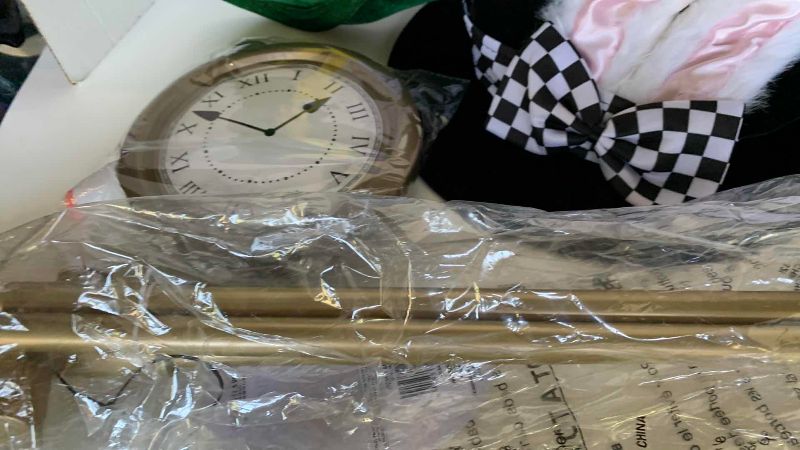 Photo 1 of ALICE IN WONDERLAND COSTUMES