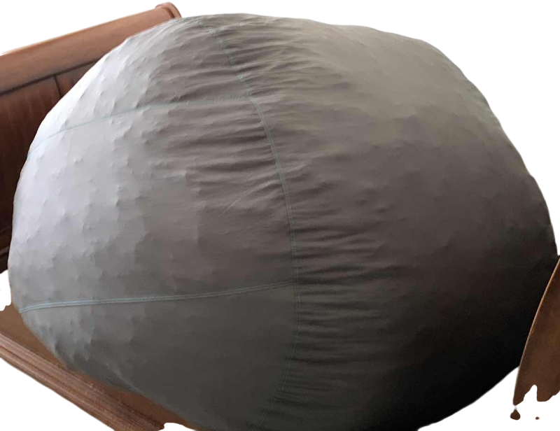 Photo 1 of LOVE SACK