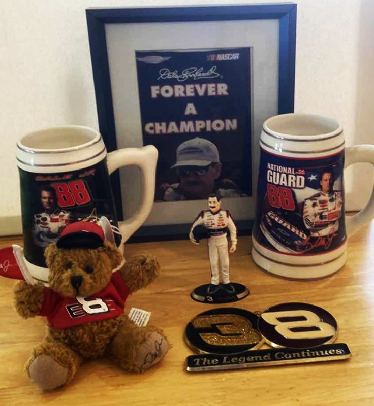 Photo 1 of 6 - DALE EARNHARDT JR.COLLECTIBLES - MUGS BEARS & MORE FRAMED PHOTO 8 1/2” x 10 1/2”