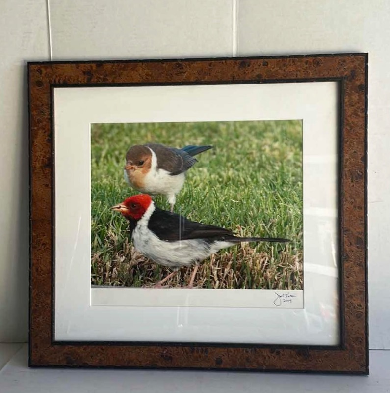 Photo 1 of FRAMED "BIRDS" ARTWORK-ARTIST SIGNED 21”X20”