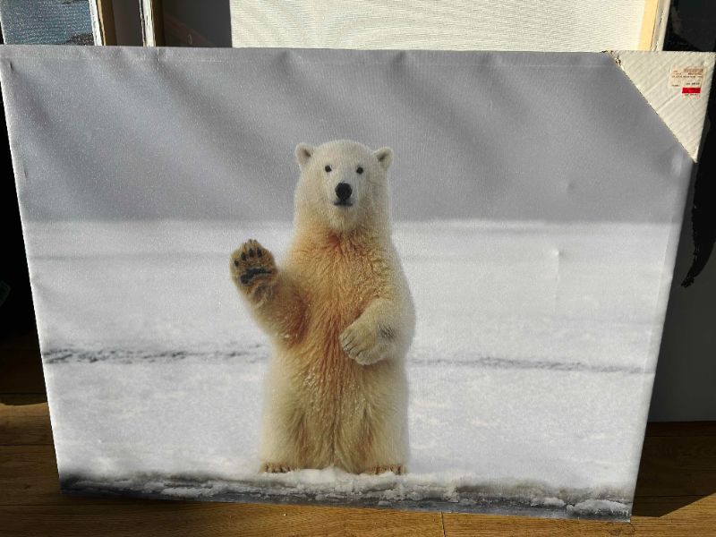 Photo 1 of BRAND NEW "POLAR BEAR WAVING" CANVAS ARTWORK 40" X H30"