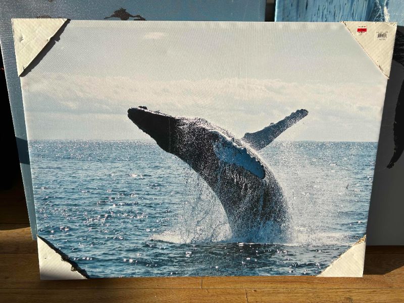 Photo 1 of BRAND NEW "BREACHING" CANVAS ARTWORK 40" X H30"