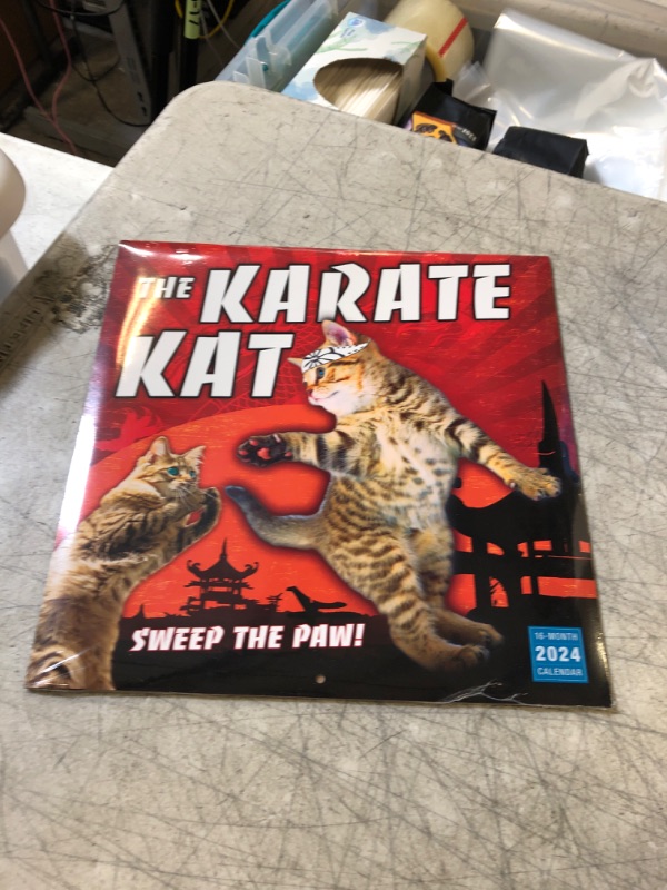 Photo 3 of The Karate Kat 2024 Wall Calendar, 16-Month Humor & Comic Calendar, 12" x 12"
